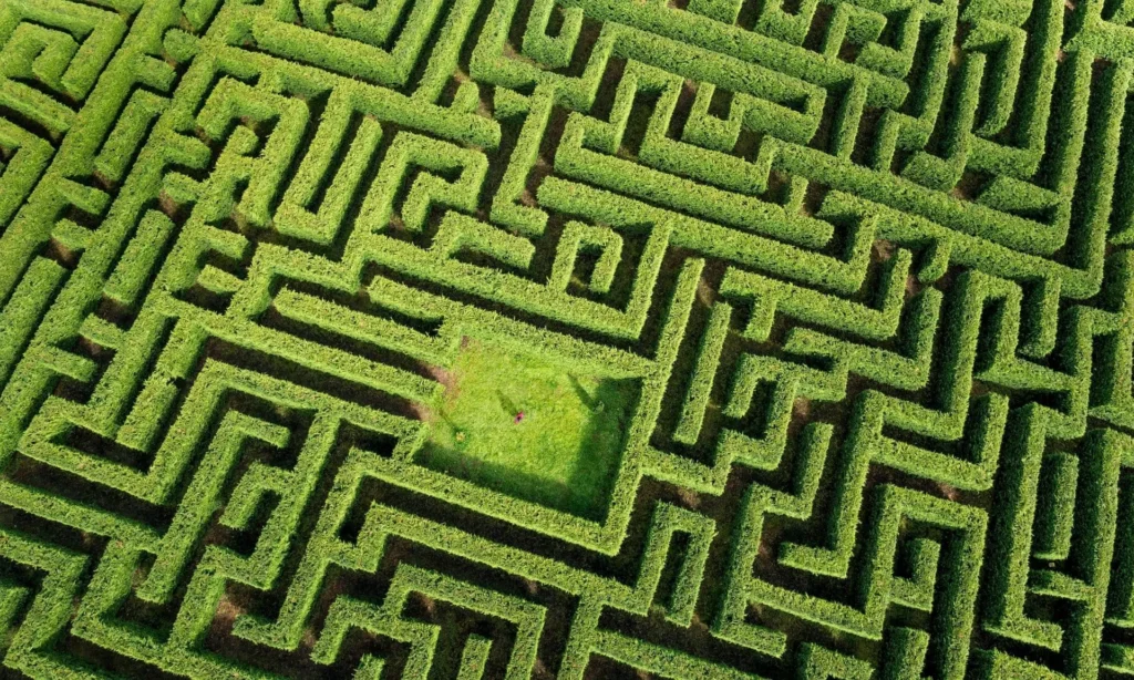 The maze